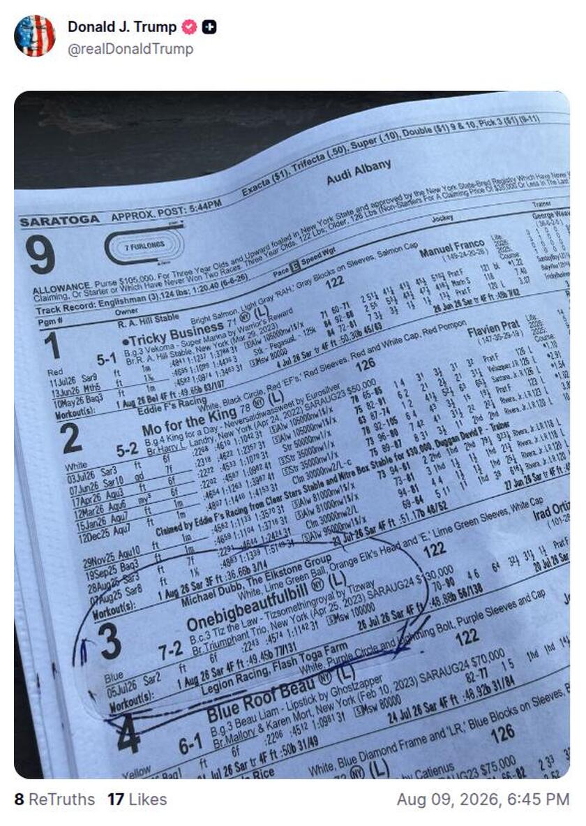 Post preview from Donald Trump
