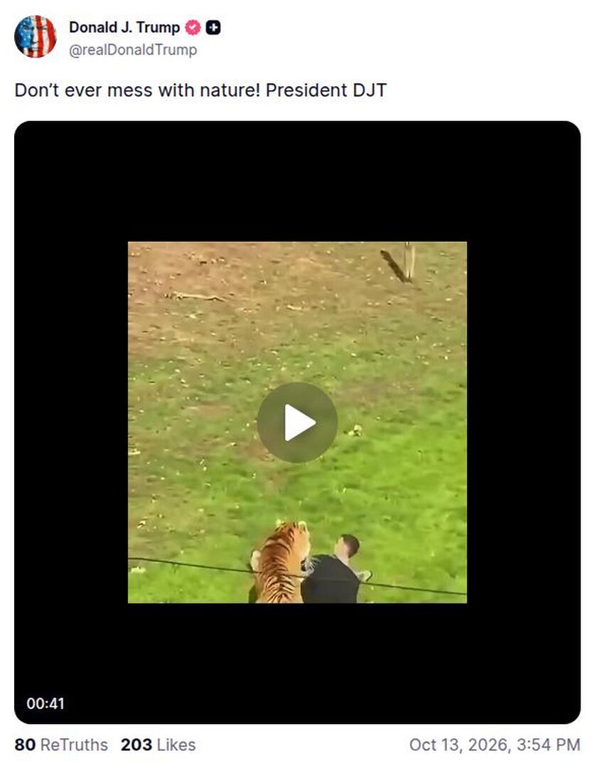 Post preview from Donald Trump
