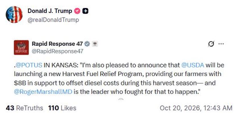 Post preview from Donald Trump